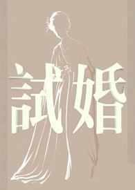 试婚格格小说
