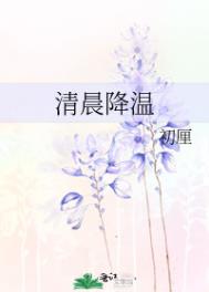 清晨降温初厘番外txt